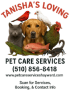 Little Paws Loving Hearts Pet Care Services